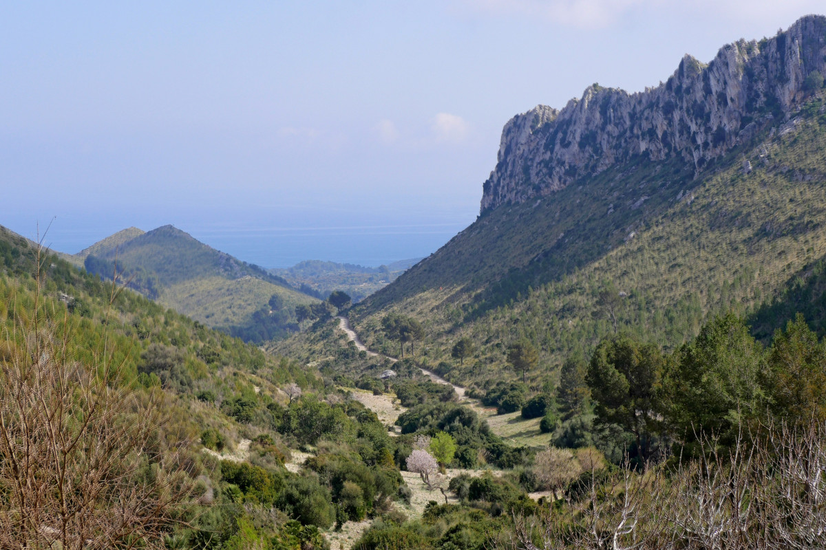 Balearen: Mallorca null